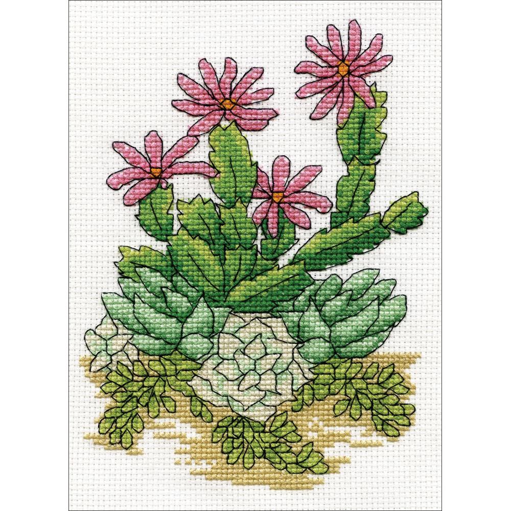 Cactus Counted Cross Stitch Kit